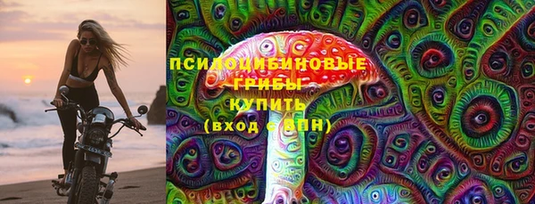 стаф Богданович